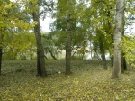 076 Может, созданы для счастья эти дни.JPG
