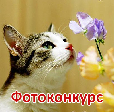 Фотоконкурс "Весеннее настроение" Фотоконкурс "Весеннее настроение"