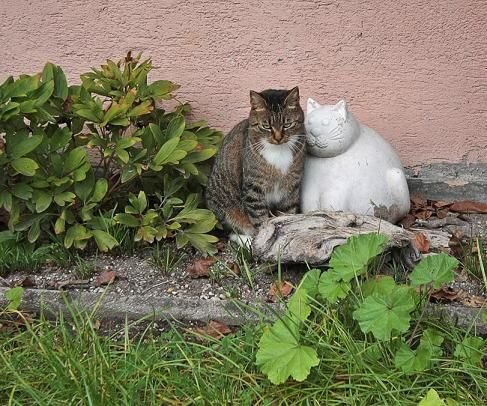 1290738614_foto-prikol.net_fotoprikoly-pyatnichnye-4.jpg