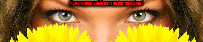 Fine-color.gif Fine-color.gif