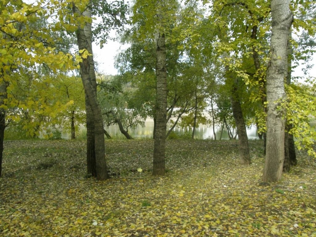 405914521.jpg